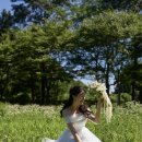 달산 | 광주근교 야외웨딩스냅 | 무안 달산수원지에서의 자연 속 웨딩촬영 후기