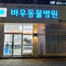 바우동물병원 이미지