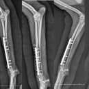 청라공감동물병원 이미지