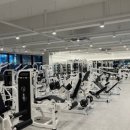 새로이 핏 이미지