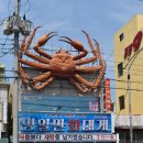 구룡포대게과메기해산물 이미지