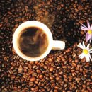 한잔어때 이미지