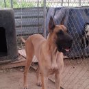 유일한농장 이미지