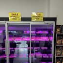 고가네뒷고기 | 고가네 육류마트 단골 후기, 고기는 여기서만 사먹어요 (내돈내산)