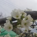 영옥농장 이미지