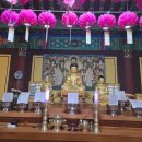 연로한 어머니가 일구던 천변 밭이 있었다네 이미지