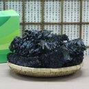 청정완도물산