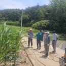 곡성-146 이미지