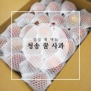송학농원 | 청송 송학농원의 꿀부사 먹어봤어요. + 사과청 만들기 + 설탕 없이 사과탕후루