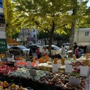 오거리청과 - 사천시 서부시장길 75-2 | 오거리청과