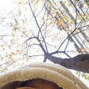 선일화원 | 또 다른 계절을 준비하는 일주일