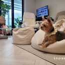 성미세탁 이미지