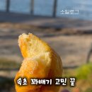 황금찹쌀꽈배기 속초점 이미지
