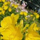 경상북도교육청외동도서관 이미지