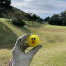 도곡골프랜드 이미지