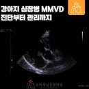 송파새날동물병원 이미지