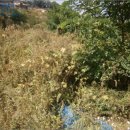 기호목장 이미지