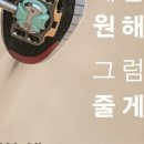 레디포바이크 이미지