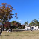 남산공원 이미지