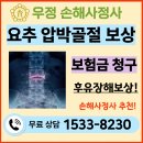 공세농장 | 요추 척추골절 후유장해 척추압박골절 보험금청구 보상 손해사정사 선임
