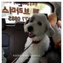 GS25거제중곡점 이미지