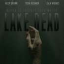 레이크인 이미지