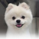 루아동물병원 이미지