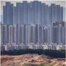 건축허가가 살아 있는 토지 경매는 위험한가? 이미지