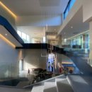 골든트리 이미지