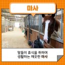 이순신승마센터 이미지