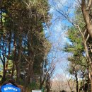 성덕동-8 이미지