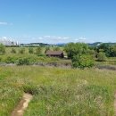 갯골생태공원 이미지