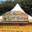 수풀지기