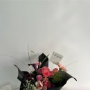라포즈플레르 | 송파꽃집 연주회꽃다발 주문 후기! 라포즈플레르