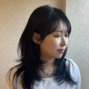 세종하이믹스