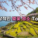 올해 벚꽃 영상은 이 영상으로 종결합니다. 미친 듯한 풍경을 볼 수 있는 벚꽃 명소 Top8만 골라서 소개해 드리겠습니다. 이미지