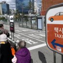 동물택시 이미지