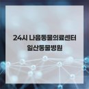 24시 나음동물의료센터 네이버블로그