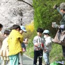 강남-293 이미지