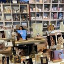 피노디아 아트홀 500 이미지