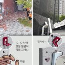 잠원동023 이미지