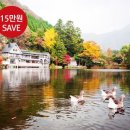 세이브투어 이미지