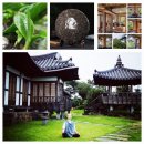 금선에너지 이미지