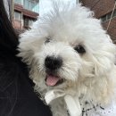 청화종합동물병원 이미지