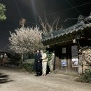 김보늬 카카오 검색결과