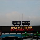 자유낚시