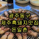 돈일촌 | 광주 동구 제주흑돼지 지리산흑돼지 삼겹살 맛집 돈일촌 위치 정보 후기 알려드릴게요