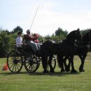 미니마차 이미지