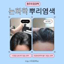 원호암 5길 | 충주두피미학 논화학 뿌리염색 및 두피 스칼프 케어 관리 후기