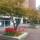 벌교펜션민박 이미지